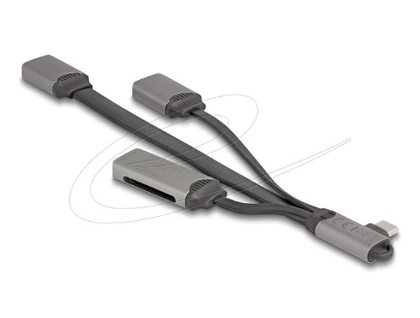 Delock 2portový USB hub včetně čtečky karet SD a Micro SD s konektorem USB Type-C