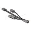 Delock 2portový USB hub včetně čtečky karet SD a Micro SD s konektorem USB Type-C